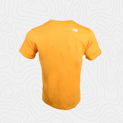 The North Face Evolution Half Dome Tee