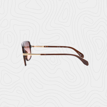 Beeline Solar Dash Sunglass