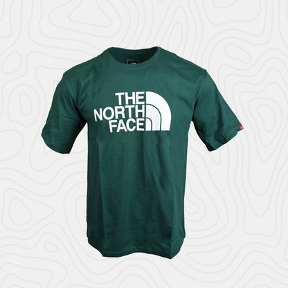 The North Face Evolution Half Dome Tee