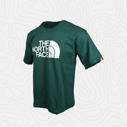 The North Face Evolution Half Dome Tee