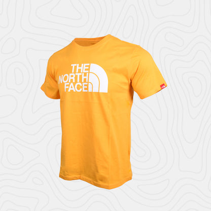 The North Face Evolution Half Dome Tee