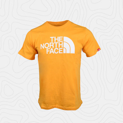 The North Face Evolution Half Dome Tee